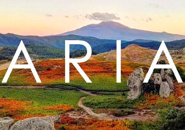 ARIA